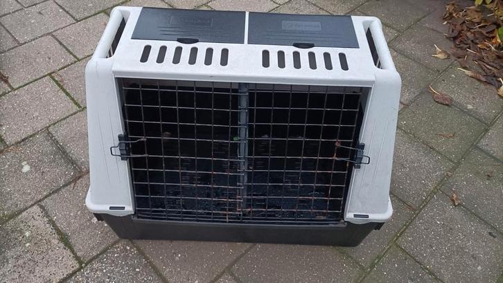Honden vervoer box met tussenschot, Dieren en Toebehoren, Hondenbenches, Ophalen of Verzenden