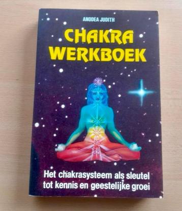 Chakra Werkboek  -  Anodea Judith   beschikbaar voor biedingen