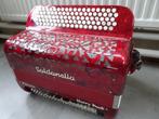 Soldanella (Polverini) knopaccordeon 120 bas C-griff, Gebruikt, Knopaccordeon, 120-bas, Met riemen