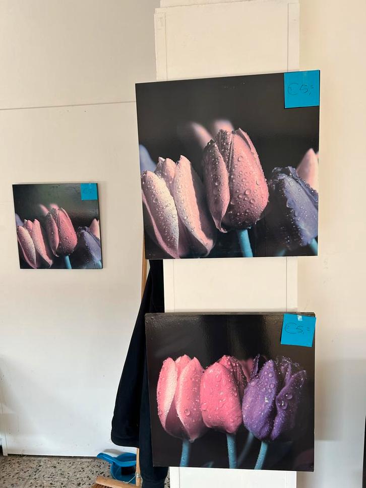 4 print bloemen schilderij nu 20 euro., Huis en Inrichting, Woonaccessoires | Schilderijen, Tekeningen en Foto's, Zo goed als nieuw