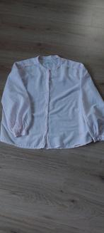 Pepe Jeans blouse, Ophalen of Verzenden, Zo goed als nieuw, Maat 36 (S), Roze