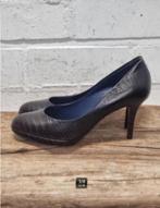 Studio Pollini - Donkerbruine leren pumps maat 39 - Nieuw, Kleding | Dames, Schoenen, Pumps, Bruin, Studio Pollini, Nieuw