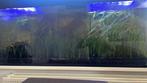 Vallisneria waterplant aquariumplant stekjes, Dieren en Toebehoren, Vissen | Aquaria en Toebehoren, Ophalen, Nieuw, Plant(en), Steen of Hout