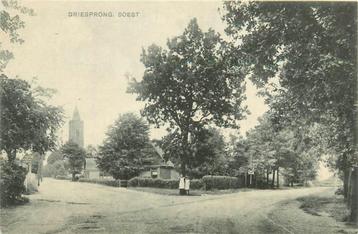 (701-093-043) Soest Driesprong beschikbaar voor biedingen