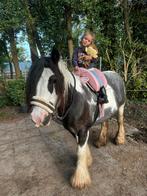 Gezocht bruikbare dekjes maat cob en full, Dieren en Toebehoren, Paarden en Pony's | Dekens en Dekjes, Ophalen of Verzenden, Gebruikt