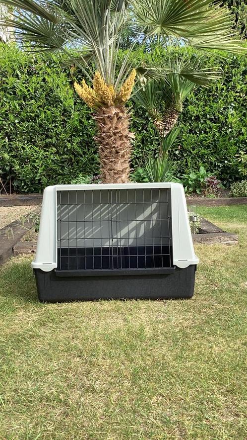 BENCH, Dieren en Toebehoren, Hondenbenches, Zo goed als nieuw, Ophalen