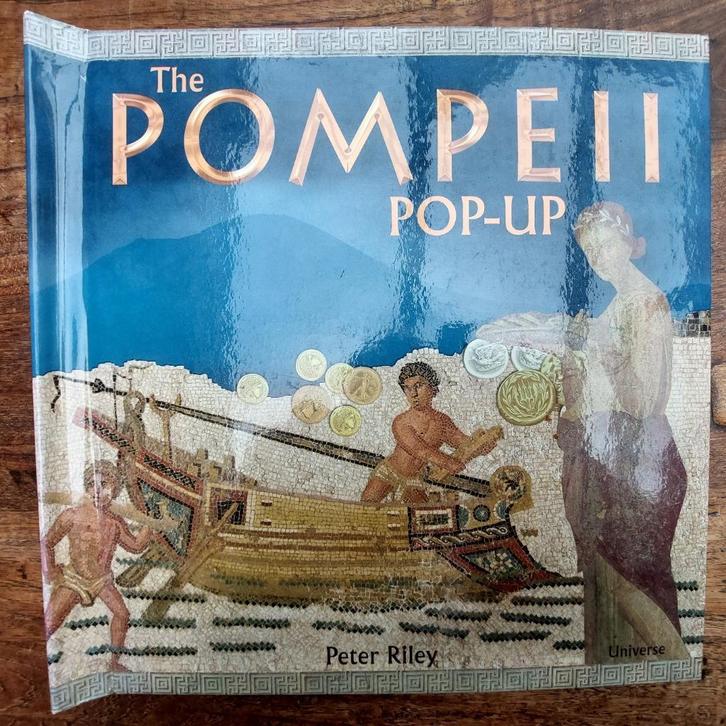 The Pompeii Pop-Up boek Engelstalig in mooie staat, Boeken, Prentenboeken en Plaatjesalbums, Gelezen, Plaatjesalbum, Ophalen of Verzenden