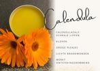 Calendulazalf, rozemarijn, lavendel, hop, smeerwortel, weegb, Nieuw, Ophalen of Verzenden, Bodylotion, Crème of Olie