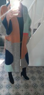 ZARA LIMITED EDITION PRACHTIG VEST/JAS  MT M, Ophalen of Verzenden, Zo goed als nieuw, Maat 38/40 (M)