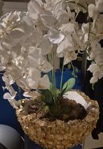 Schelpenvaas met witte orchideeën, Ophalen, Gebruikt, Minder dan 50 cm