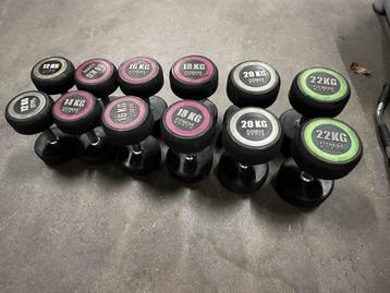 Vaste Rubberen Dumbells 12 t/m 22kg beschikbaar voor biedingen