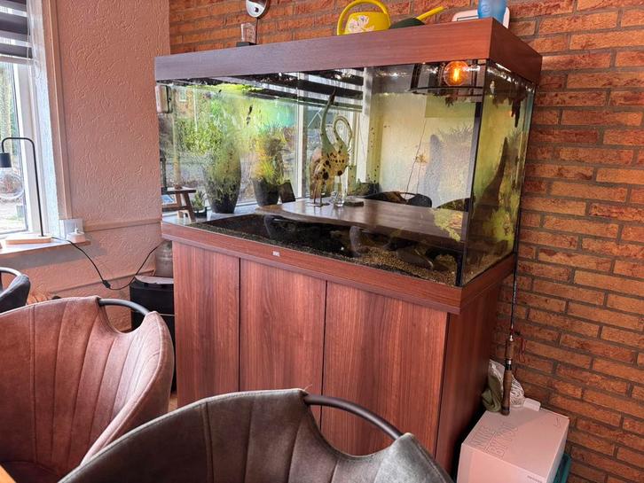 Juwel rio350 met meubel, Dieren en Toebehoren, Vissen | Aquaria en Toebehoren, Zo goed als nieuw, Filter of Co2, Ophalen