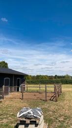 Pensionstal beschikbaar/ pension paard gezocht, Dieren en Toebehoren, Stalling en Weidegang, Weidegang
