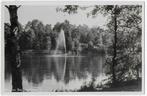 Apeldoorn Berg en Bos Oude Ongelopen Ansichtkaart ( B1689 ), Verzamelen, Ansichtkaarten | Nederland, Ophalen of Verzenden, 1940 tot 1960