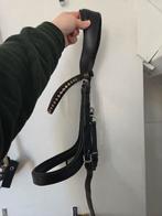 Hoofdstel maar cob, Ophalen of Verzenden, Dressuur