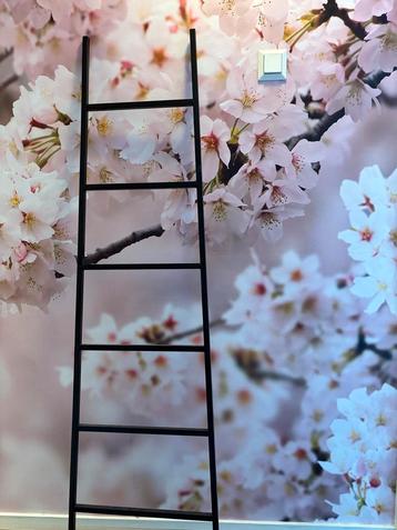 Decoratieve Ladder beschikbaar voor biedingen