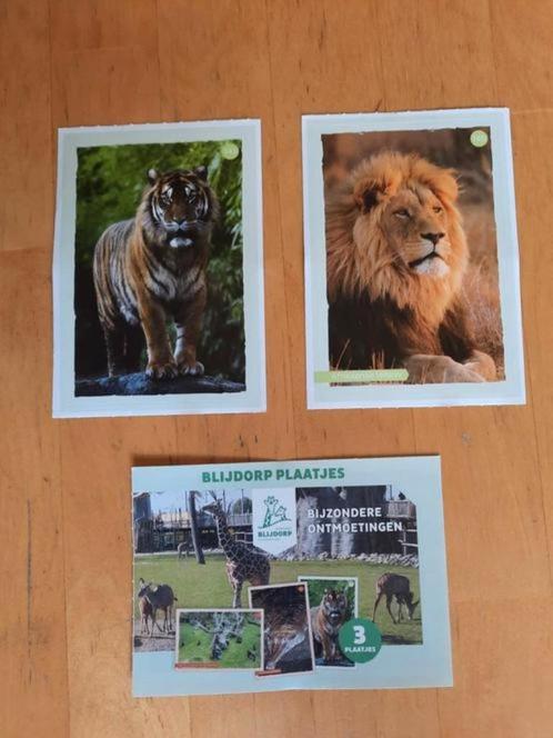 DIERGAARDE BLIJDORP PLAATJES - JUMBO - zie lijst, Verzamelen, Overige Verzamelen, Verzenden