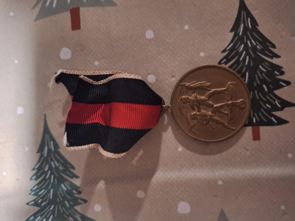 Duitse Medaille zur Erinnerung 1938, Ophalen of Verzenden, Duitsland, Lintje, Medaille of Wings