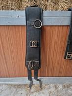 Longeersingel cob, Dieren en Toebehoren, Ophalen of Verzenden, Gebruikt, Overige soorten