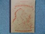 Tentoonstelling- beeldverhaal (Princessehof Leeuwarden 1977), Eén stripboek, Ophalen of Verzenden, Zo goed als nieuw
