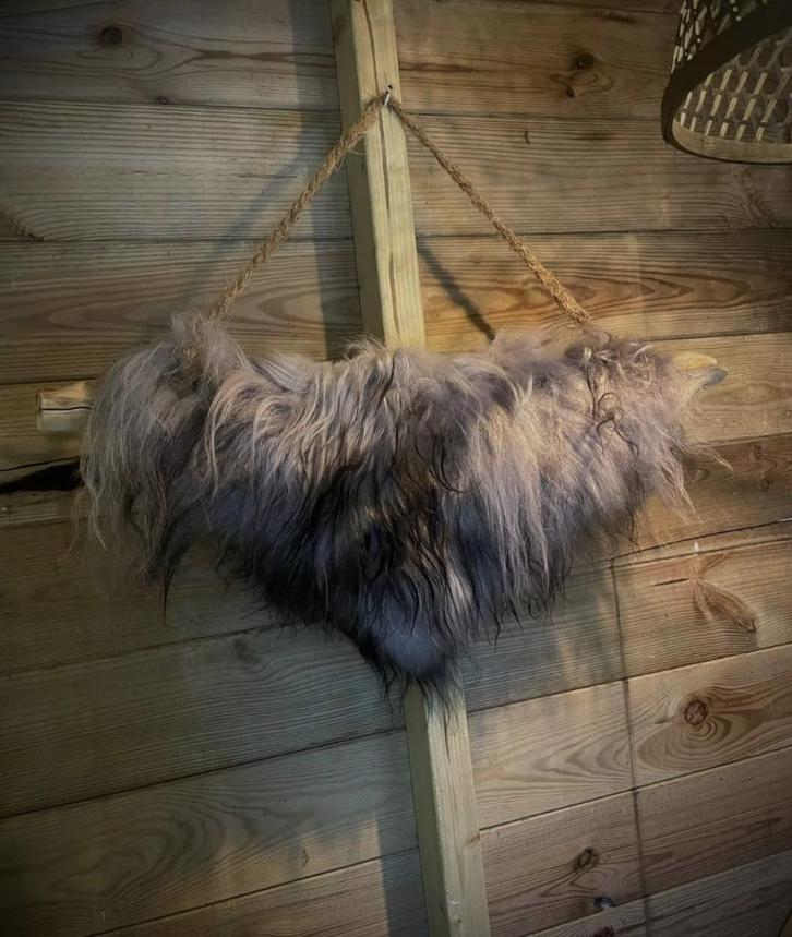 Wandhanger wol, Huis en Inrichting, Woonaccessoires | Wanddecoraties, Nieuw, Ophalen of Verzenden