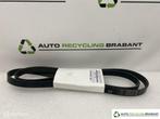 Multiriem Porsche 911 996 Cayman Boxster NIEUW 99610215167, Auto-onderdelen, Porsche, Nieuw, Ophalen of Verzenden, Porsche