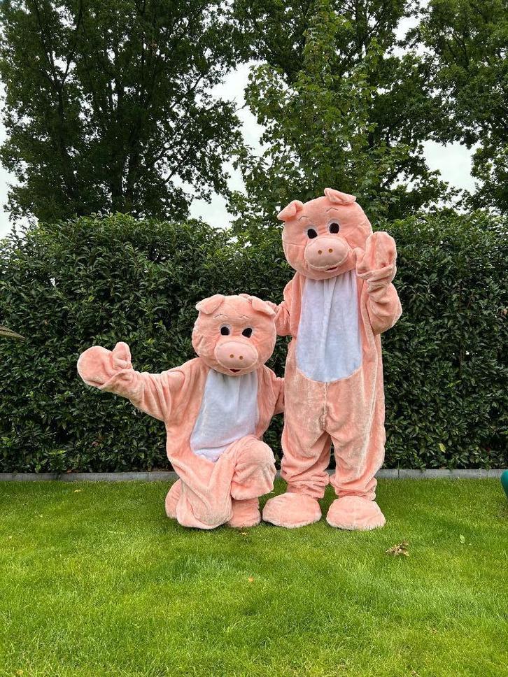 Te Huur: Varkenkostuum, Macotte, Dieren, Carnaval, Hobby en Vrije tijd, Feestartikelen | Verhuur, Zo goed als nieuw, Carnaval