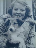 Beatrix - 70 welbestede jaren, Verzamelen, Ophalen, Zo goed als nieuw, Tijdschrift of Boek