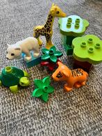 Duplo set jonge dieren, Kinderen en Baby's, Speelgoed | Duplo en Lego, Ophalen of Verzenden, Zo goed als nieuw, Complete set, Duplo