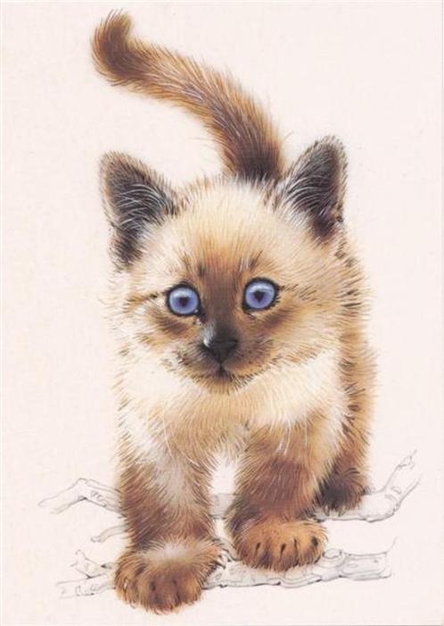 2 kaarten met poezen uitgegeven door van Nelle., Verzamelen, Ansichtkaarten | Dieren, Ongelopen, Hond of Kat, Ophalen of Verzenden