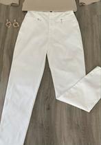 Nieuwe broek/ ZOI/ maat 36, Kleding | Dames, Verzenden, Wit, Nieuw, Maat 36 (S)