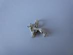 Nieuw == BORDER COLLIE = Bedel == Hanger == Zilver, Nieuw, Ophalen of Verzenden, Zilver, Dier