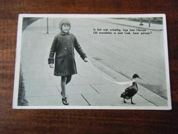 X24 - Meisje met gans - Oud beschikbaar voor biedingen