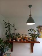 Eiken wandplank., Ophalen