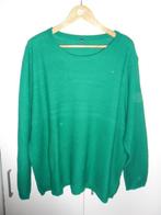 Wibra Groene Trui Maat 52, Kleding | Dames, Grote Maten, Verzenden, Trui of Vest, Zo goed als nieuw, Wibra