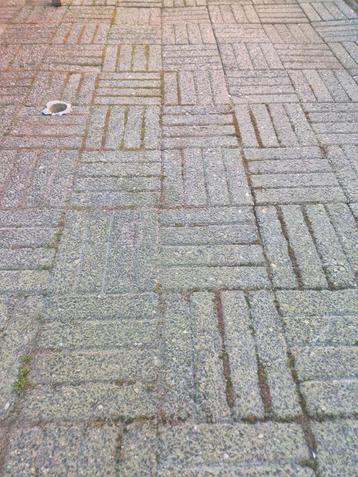 Gratis ruim 15m2 betonklinkers waalformaat beschikbaar voor biedingen