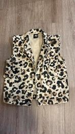 Gilet meisjes Shoeby  maat 122/128, Ophalen of Verzenden, Zo goed als nieuw, Meisje, Trui of Vest