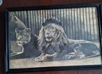 Schilderij / tekening leeuw Carl Witte (?), Ophalen
