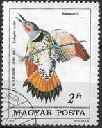 Hongarije 1985 mi.3760A vogel  SPECHT, Postzegels en Munten, Postzegels | Europa | Hongarije, Verzenden, Gestempeld