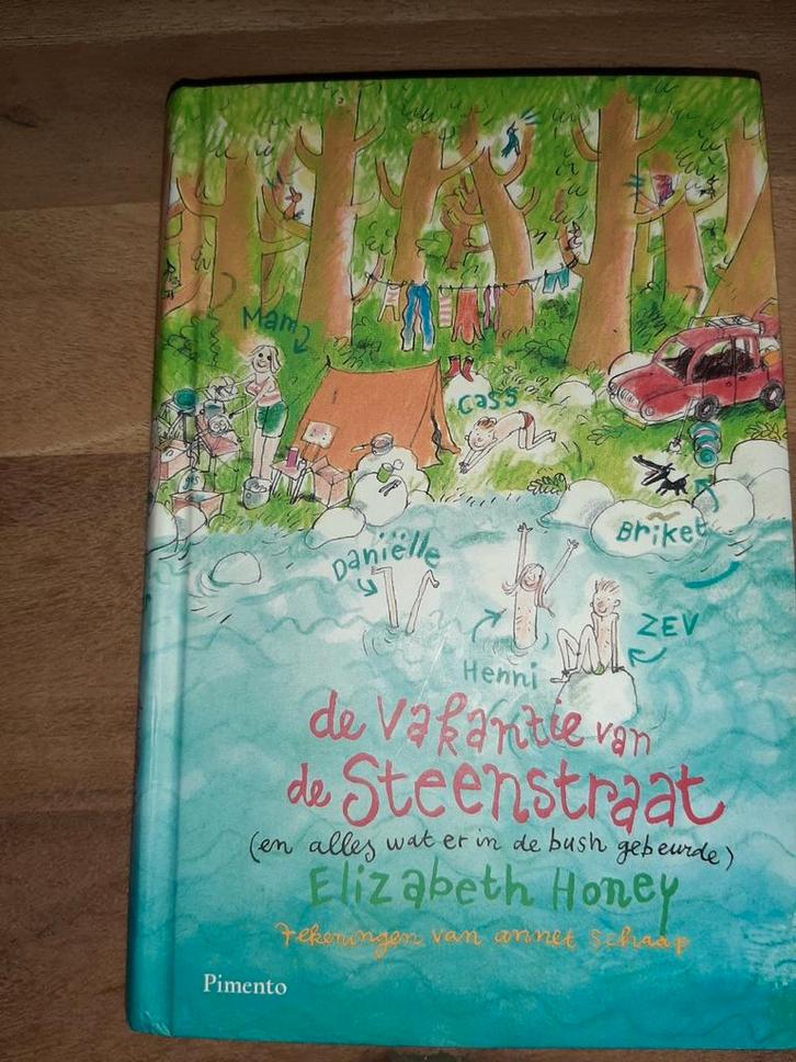 Hardcover De vakantie van de Steenstraat NIEUW, Boeken, Kinderboeken | Jeugd | 10 tot 12 jaar, Nieuw, Ophalen of Verzenden