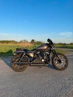 Harley Davidson Sportster 883, Motoren, Chopper, 883 cc, Particulier