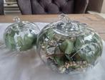 RIVIÈRA MAISON Glazen Pompoenen set, Ophalen of Verzenden, Zo goed als nieuw