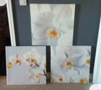 Ikea orchidee op cancas 50 cm, Minder dan 50 cm, 50 tot 75 cm, Ophalen of Verzenden, Zo goed als nieuw