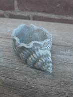 Schelp bakje beton tuinbeeld betonnen schelpje, Tuin en Terras, Ophalen of Verzenden, Nieuw