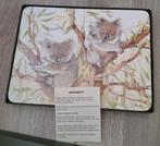 6 placemats van Dynasty in doos, dieren uit Australië, Ophalen of Verzenden, Nieuw