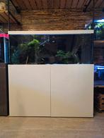 Aquarium Aquaja met bioloog., Ophalen