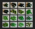 GLASKRALEN VOOR SIERADEN GROEN, Ophalen of Verzenden, Nieuw, Kraal