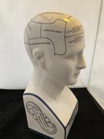 Phrenology head, Ophalen of Verzenden