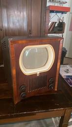 Tx400 Hondenhok Philips, Ophalen of Verzenden