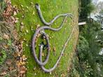 Drainage buizen met cocos, Doe-het-zelf en Verbouw, Buizen en Afvoer, Ophalen, Pvc, 6 meter of meer, Overige typen